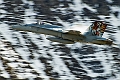 063_Axalp_FA-18C Hornet